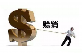 六安贷款清欠服务